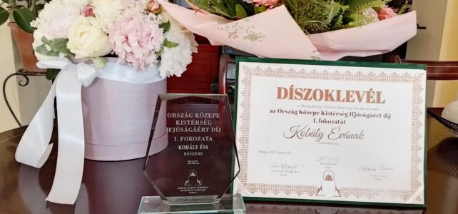 Ország Közepe Kistérség Ifjúságáért díj