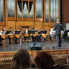 Gitáros szakmai nap