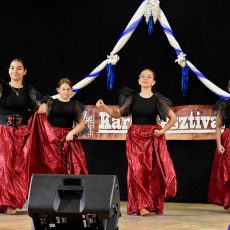 XXVIII. Dél-Pest megyei Regionális Karéj Fesztivál eredmények XXVIII. Dél-Pest megyei Regionális Karéj Fesztivál eredmények
