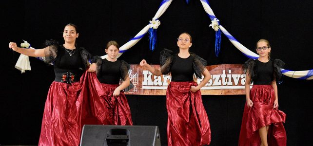 XXVIII. Dél-Pest megyei Regionális Karéj Fesztivál eredmények XXVIII. Dél-Pest megyei Regionális Karéj Fesztivál eredmények